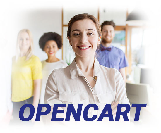 Opencart Development Company India