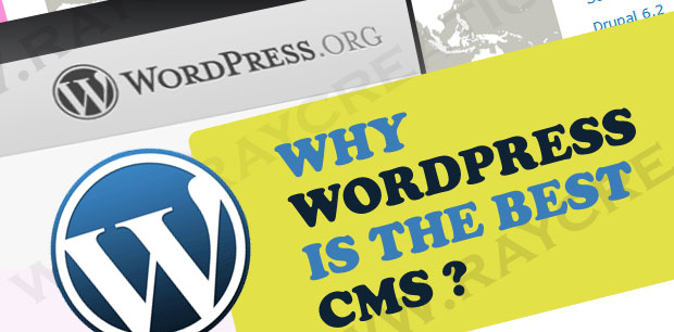Why WordPress Is Good For Business Website